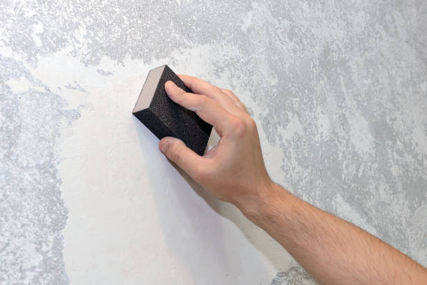 Best Mold Removal for HVAC Installations  in Tyndall Af, FL