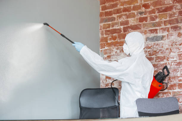 Best Mold Documentation for Insurance Claims  in Tyndall Af, FL