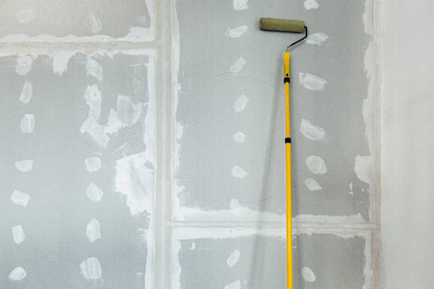 Best Residential Mold Inspection & Testing  in Tyndall Af, FL