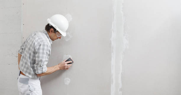 Best Black Mold Removal  in Tyndall Af, FL
