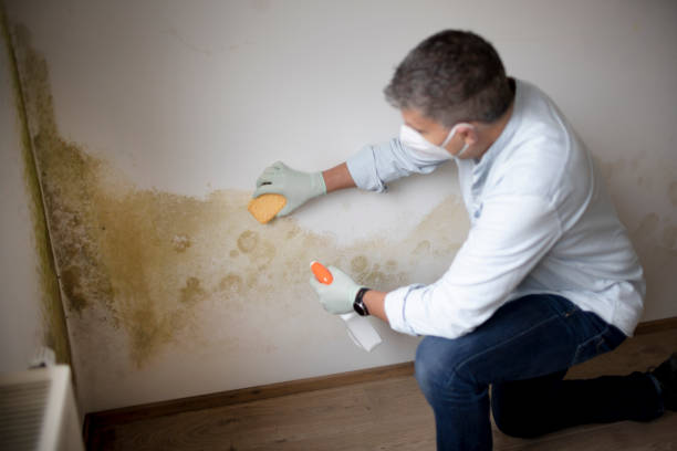 Forensic Mold Investigation in Tyndall Af, FL
